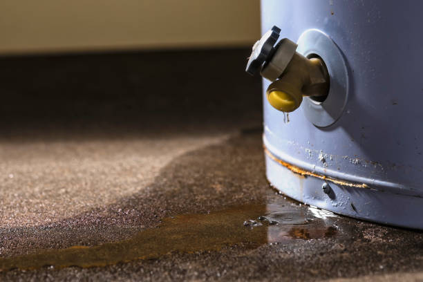 Best 24/7 water damage repair  in Ferndale, MI