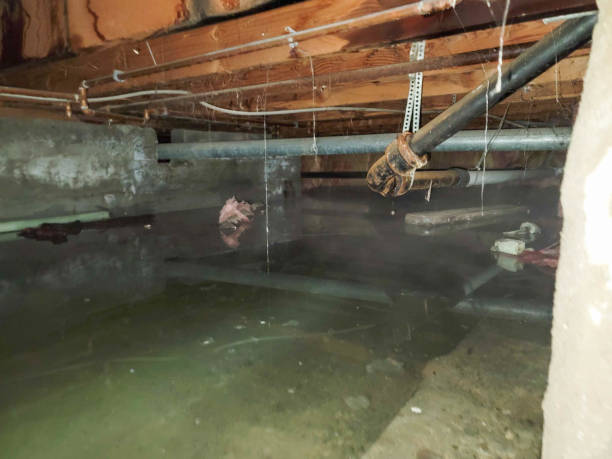 Best Flooded house restoration  in Ferndale, MI