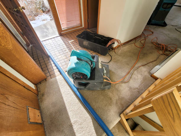  Ferndale, MI Water damage restoration Pros