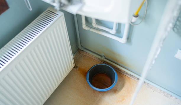 Best Basement water damage restoration  in Ferndale, MI