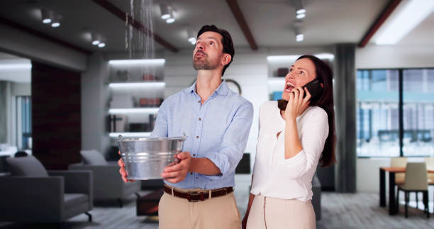 Best Water damage restoration near me  in Ferndale, MI